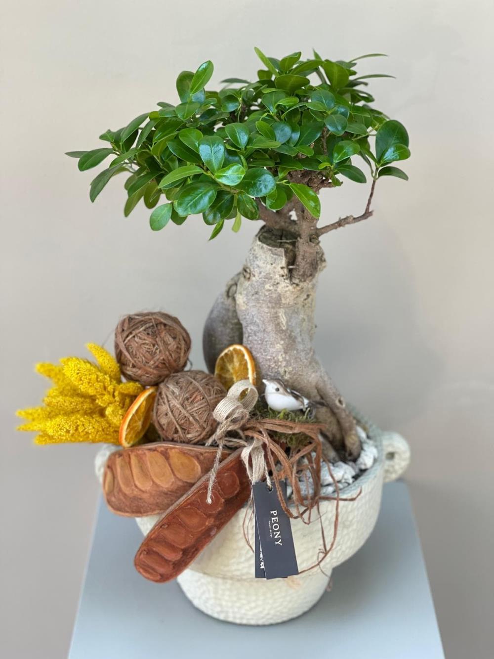 Naturel Yellow Jumbo Bonsai Ağacı
